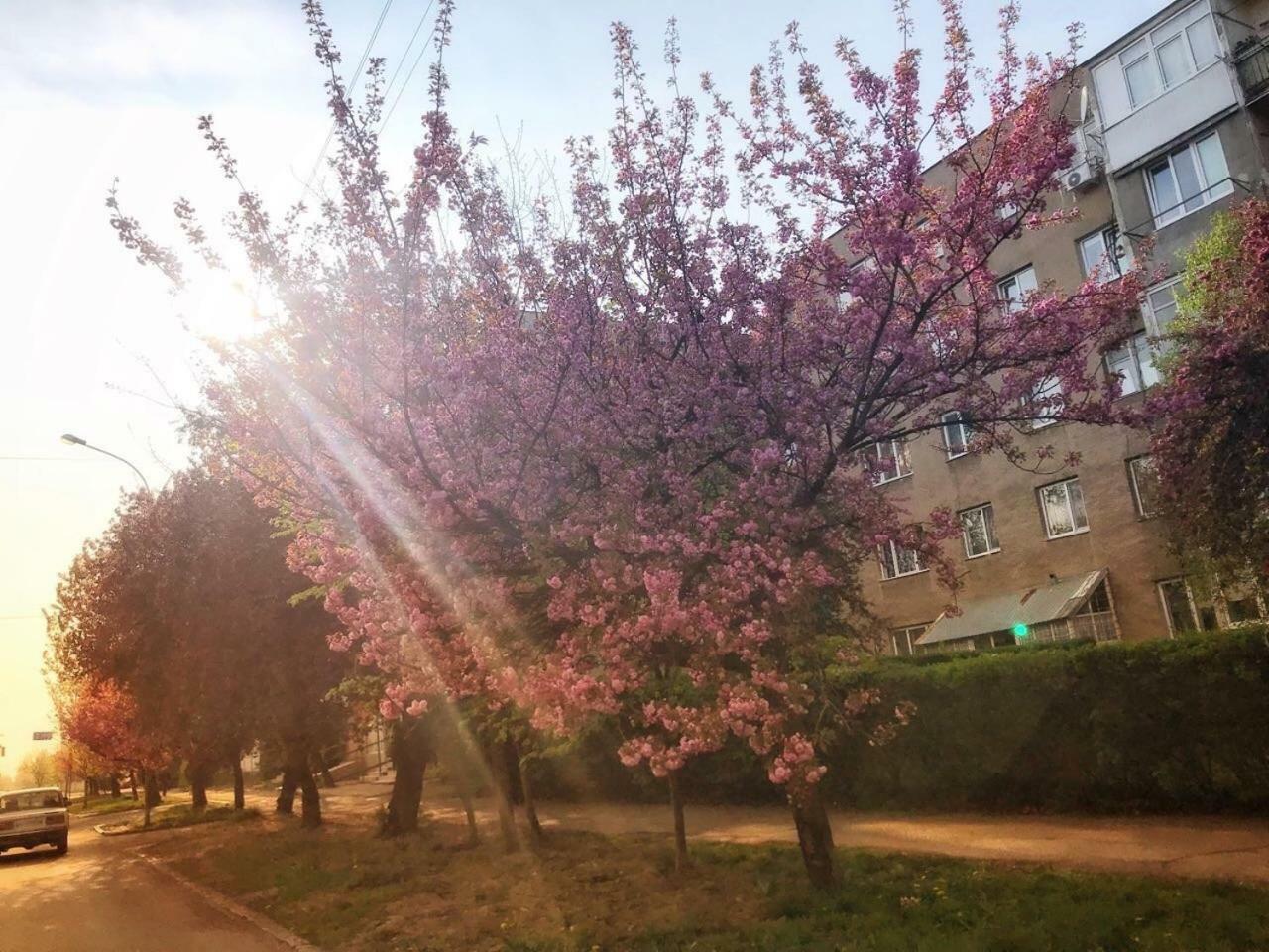 Арт Квартира В Центрі Міста Úzhgorod Exterior foto
