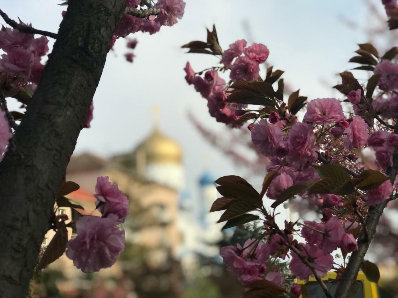 Арт Квартира В Центрі Міста Úzhgorod Exterior foto