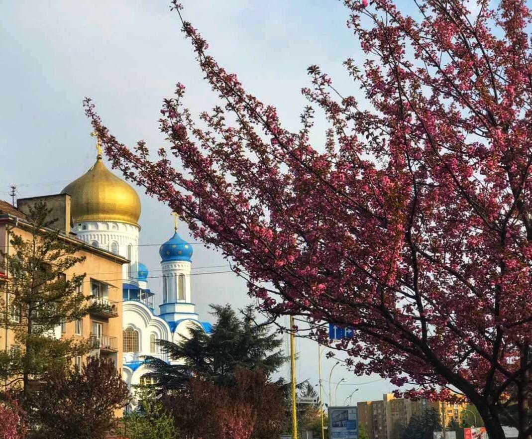 Арт Квартира В Центрі Міста Úzhgorod Exterior foto